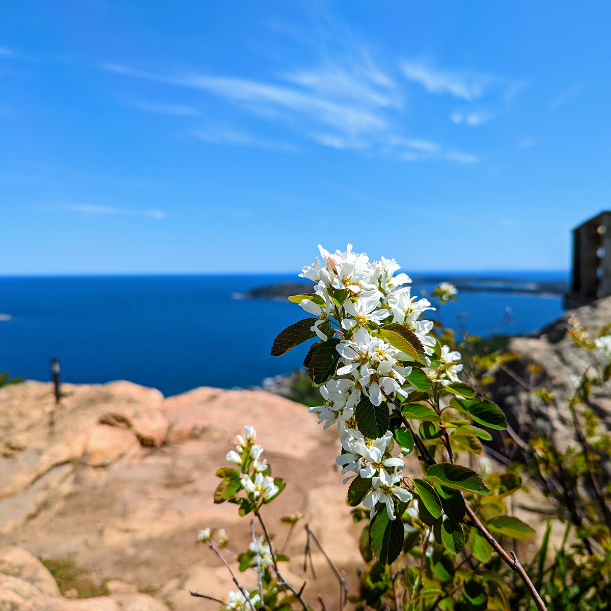 Blog list featured image